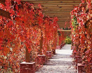 Beijing Jinyu Badaling Hot Spring Resort Xiaohetun ภายนอก รูปภาพ